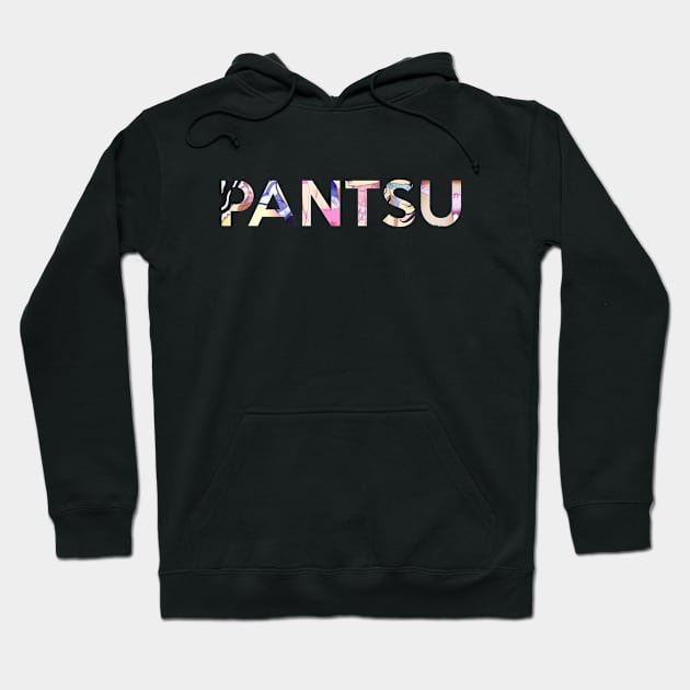 Pantsu Shirt Hoodie by Section9Otaku